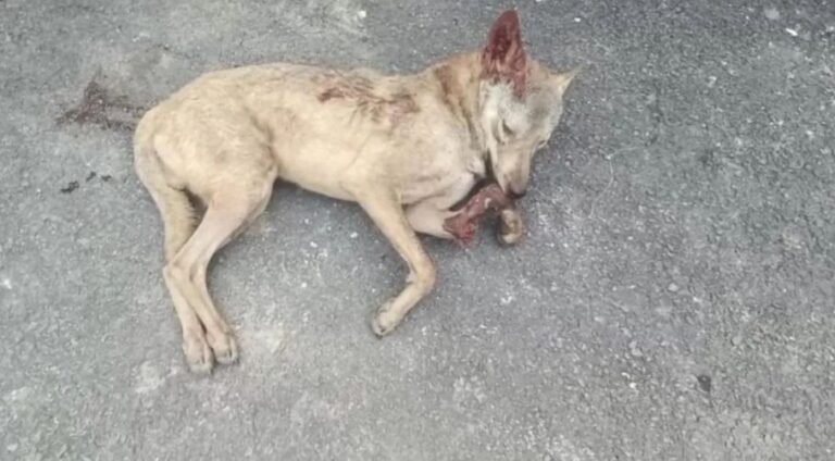 IMG_20251016_134800_328