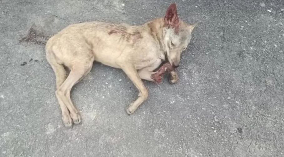 IMG_20251016_134800_328