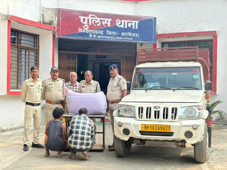 IMG_20251016_194956_412