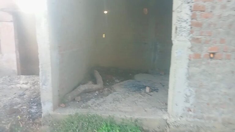 IMG_20251016_220547_088