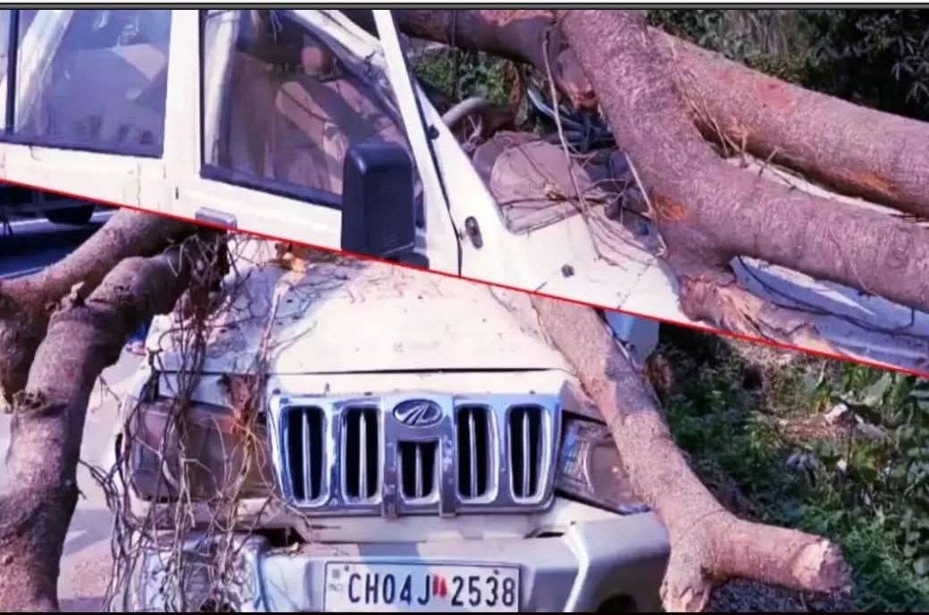 IMG_20251021_160947_755