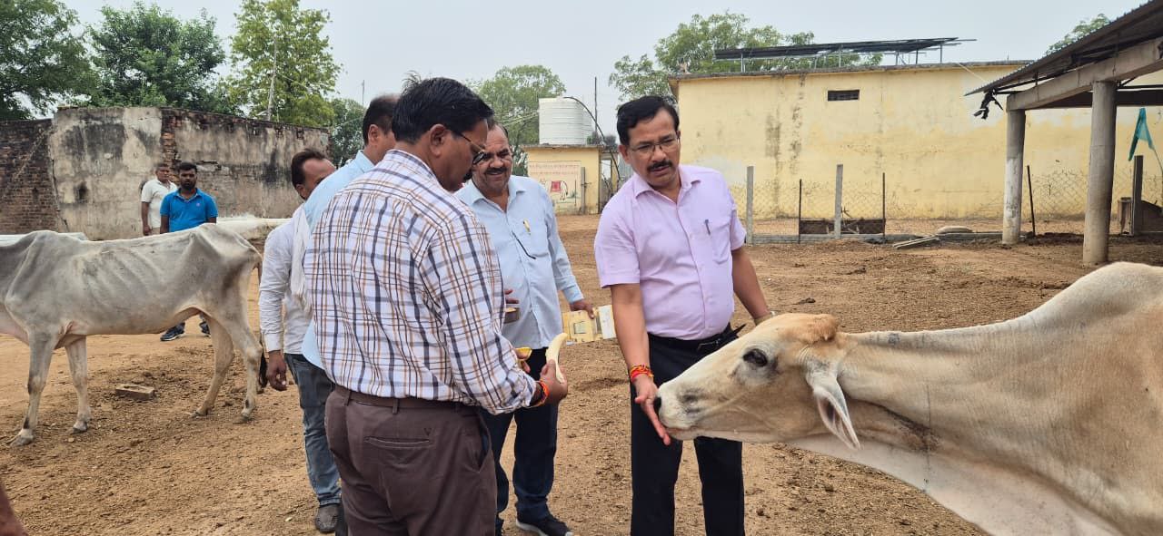 IMG_20251021_201452_383