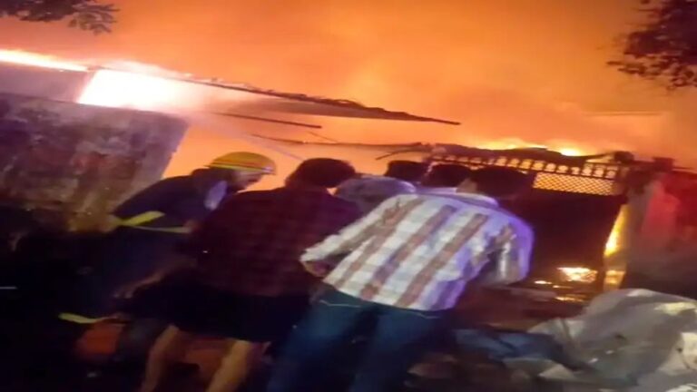 IMG_20251022_081829_541