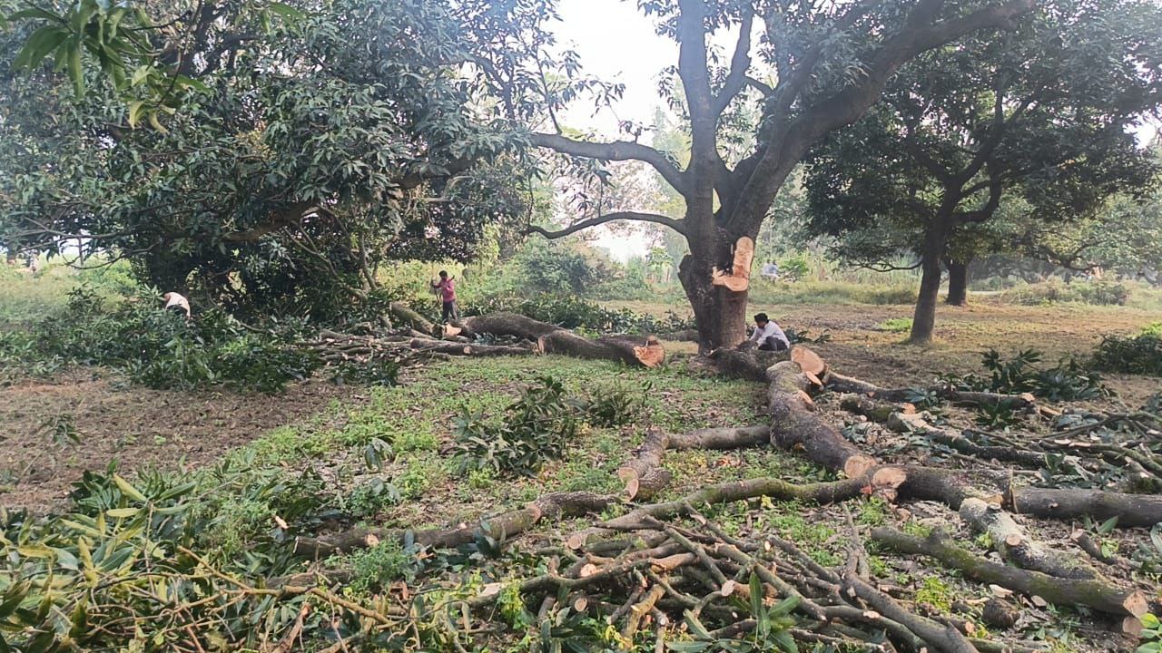 IMG_20251023_150233_973