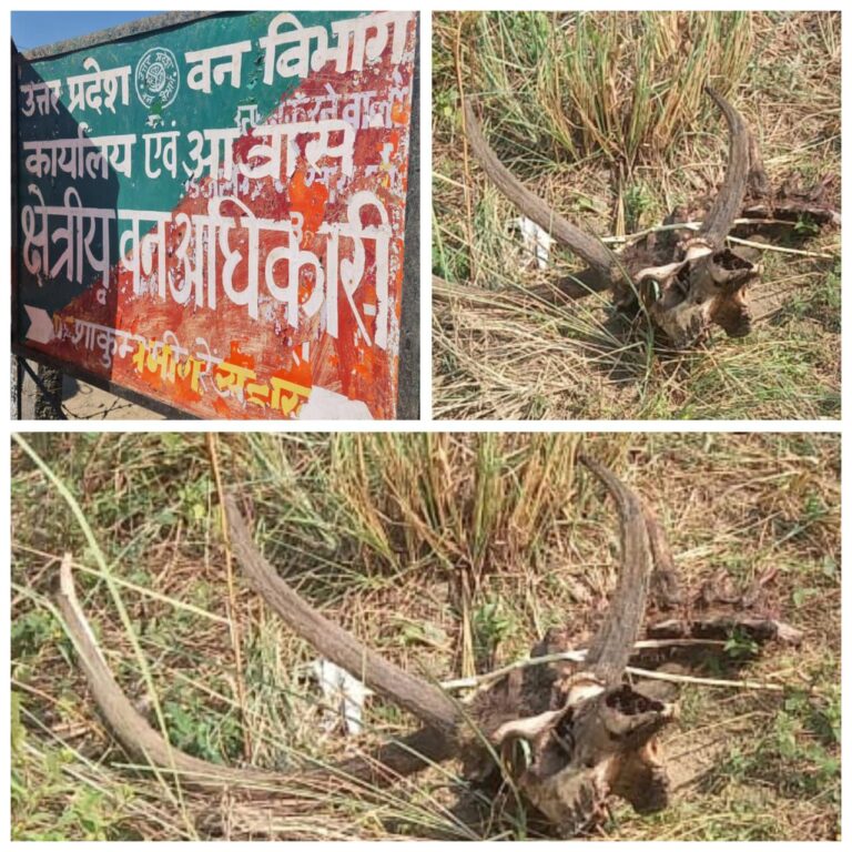 IMG_20251023_193409_123