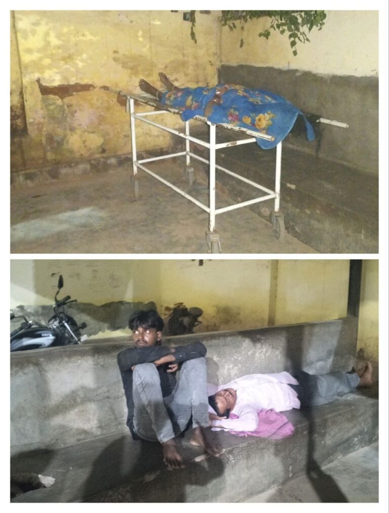 IMG_20251024_184740_329