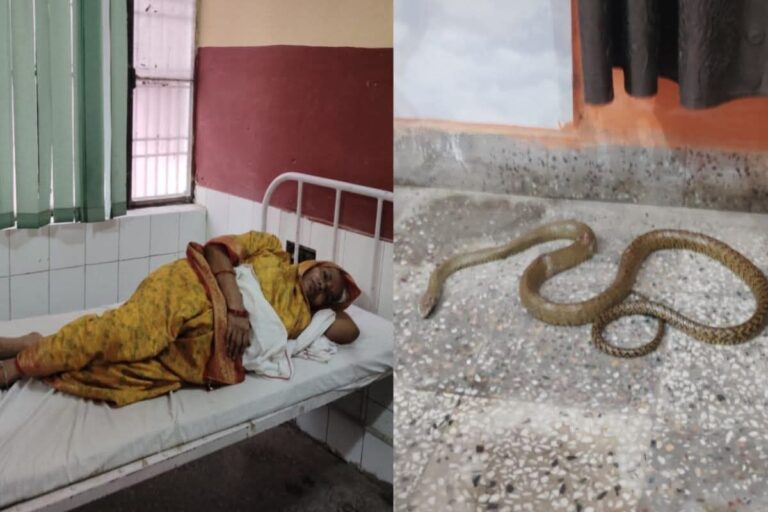 IMG_20251024_221929_842