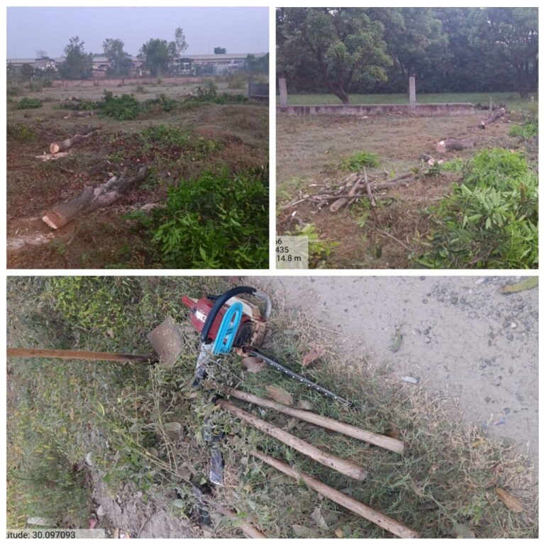 IMG_20251025_110959_135