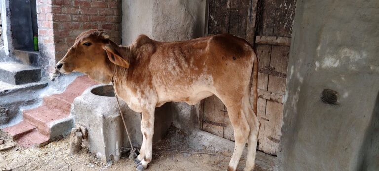 IMG_20251025_172812_774