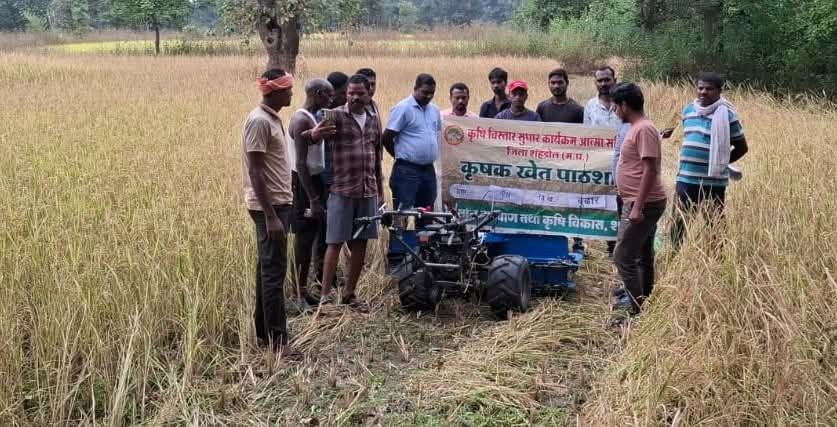 IMG_20251028_123402_526