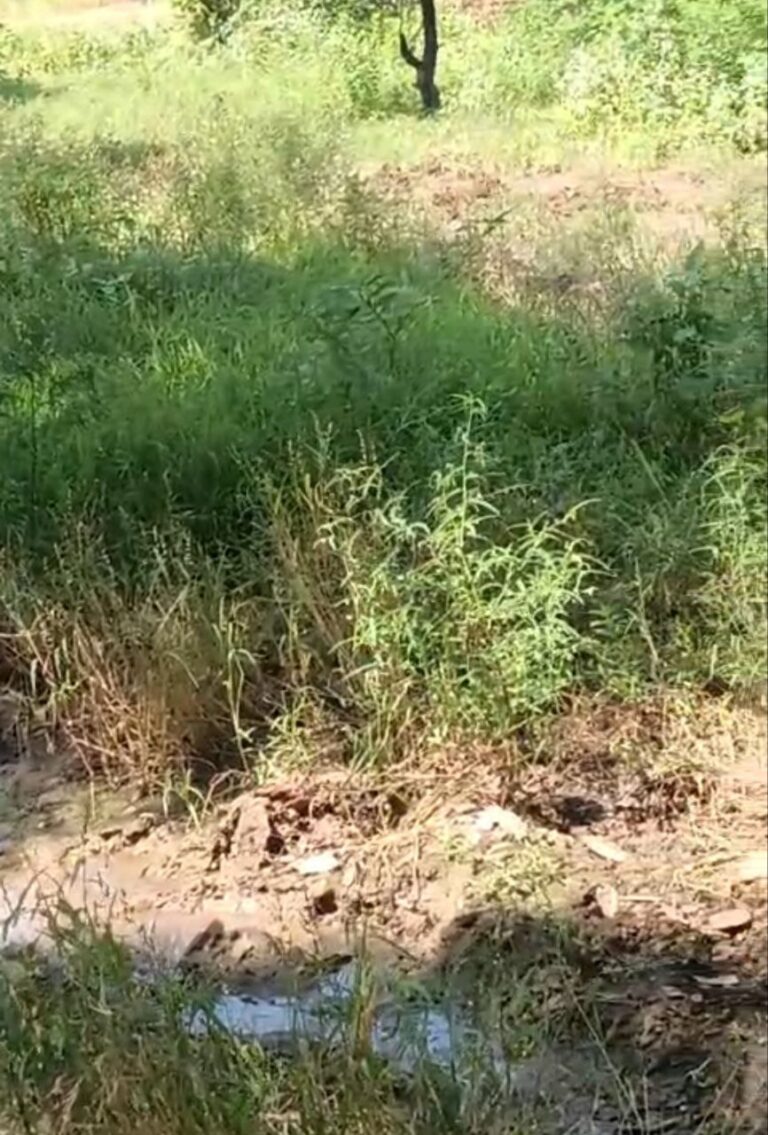 IMG_20251028_182114_644