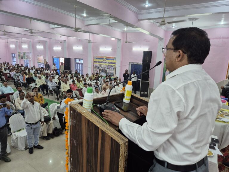 IMG_20251028_182939_966