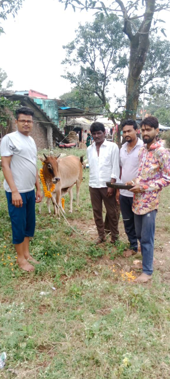 IMG_20251030_125508_453