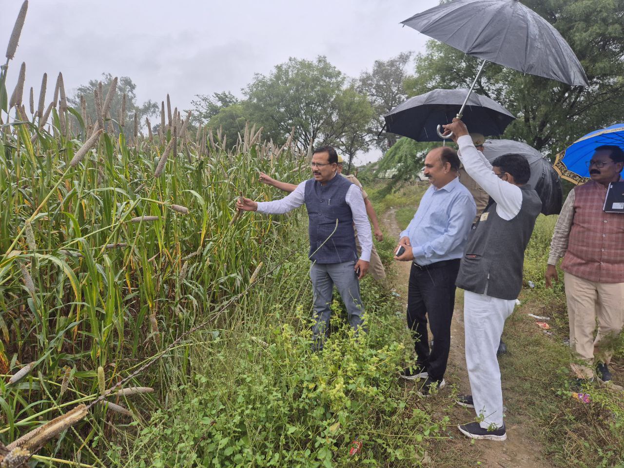 IMG_20251030_201118_552