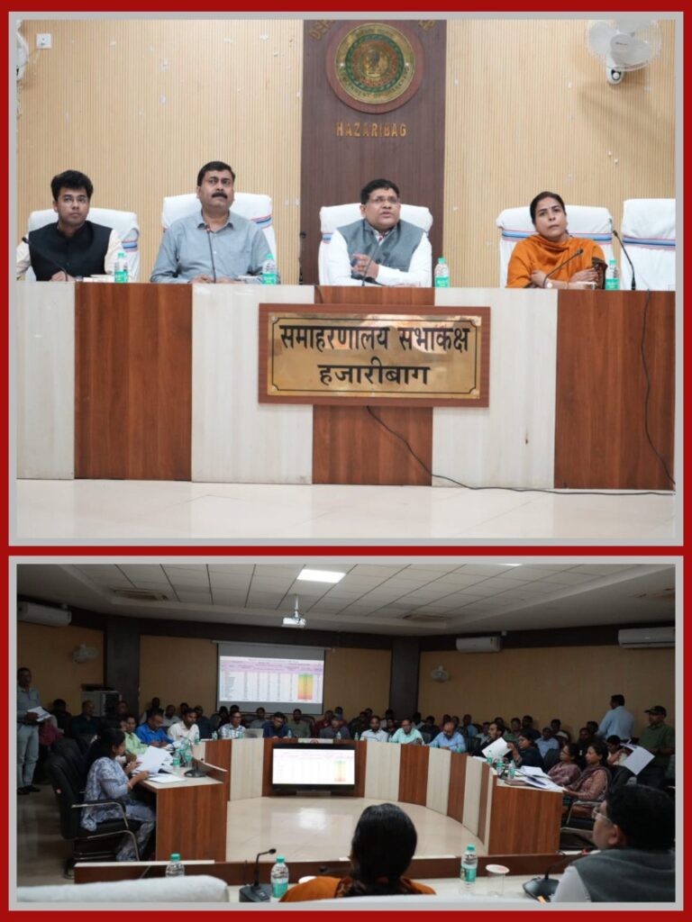 IMG_20251031_082536_952