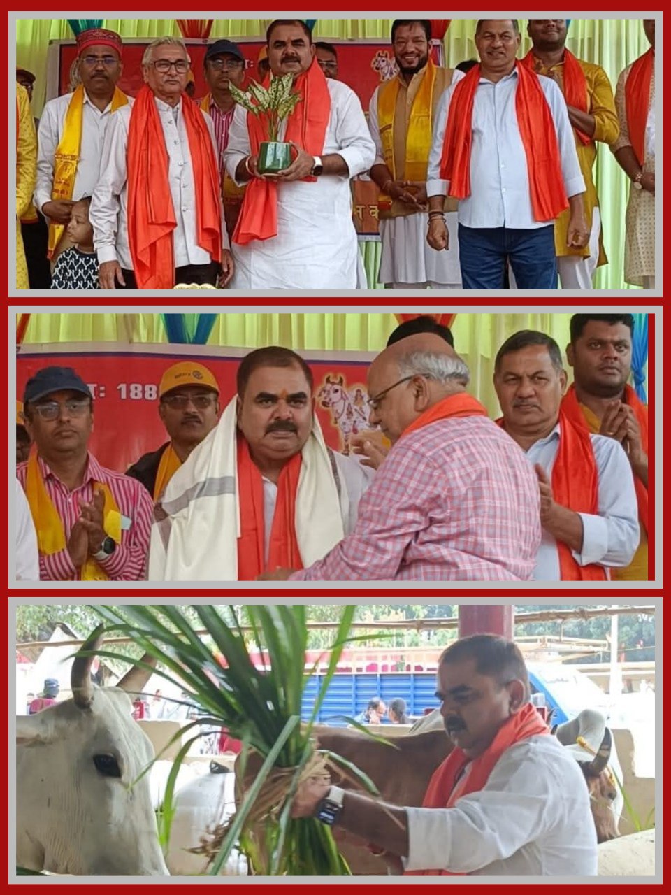 IMG_20251031_113607_326