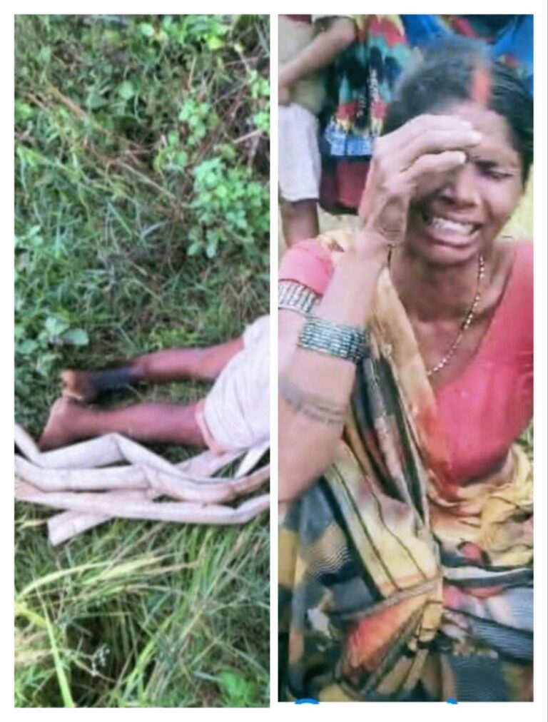 IMG_20251031_192419_278