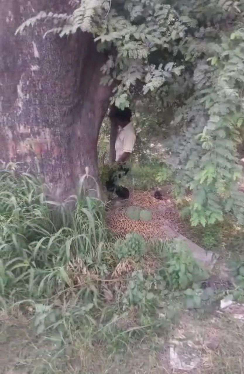 IMG_20251031_195058_085