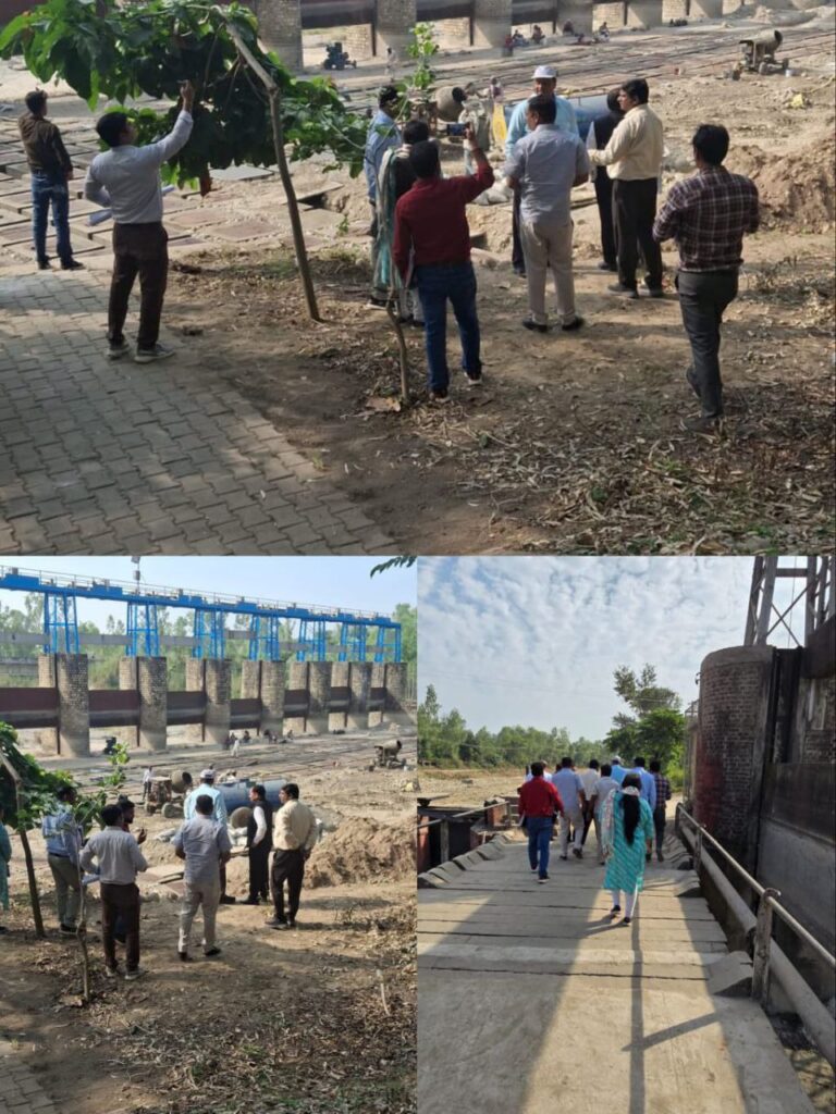 IMG_20251101_084515_734