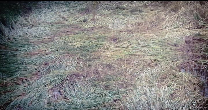 IMG_20251101_130022_933