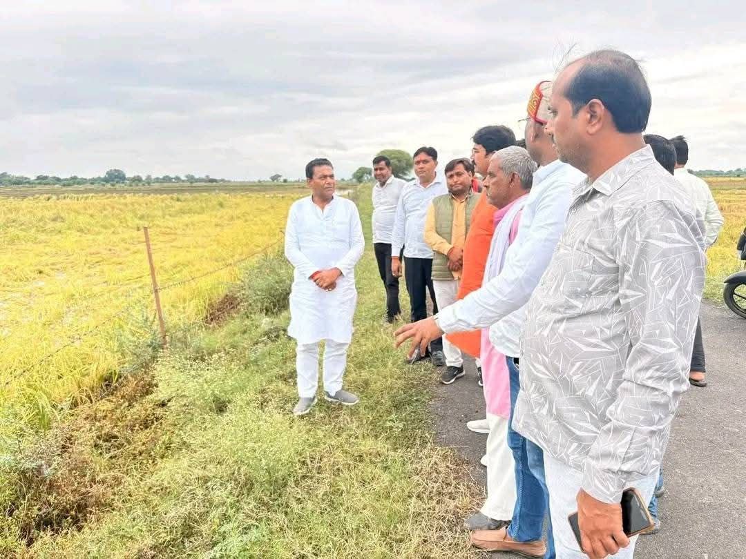 IMG_20251102_175924_925