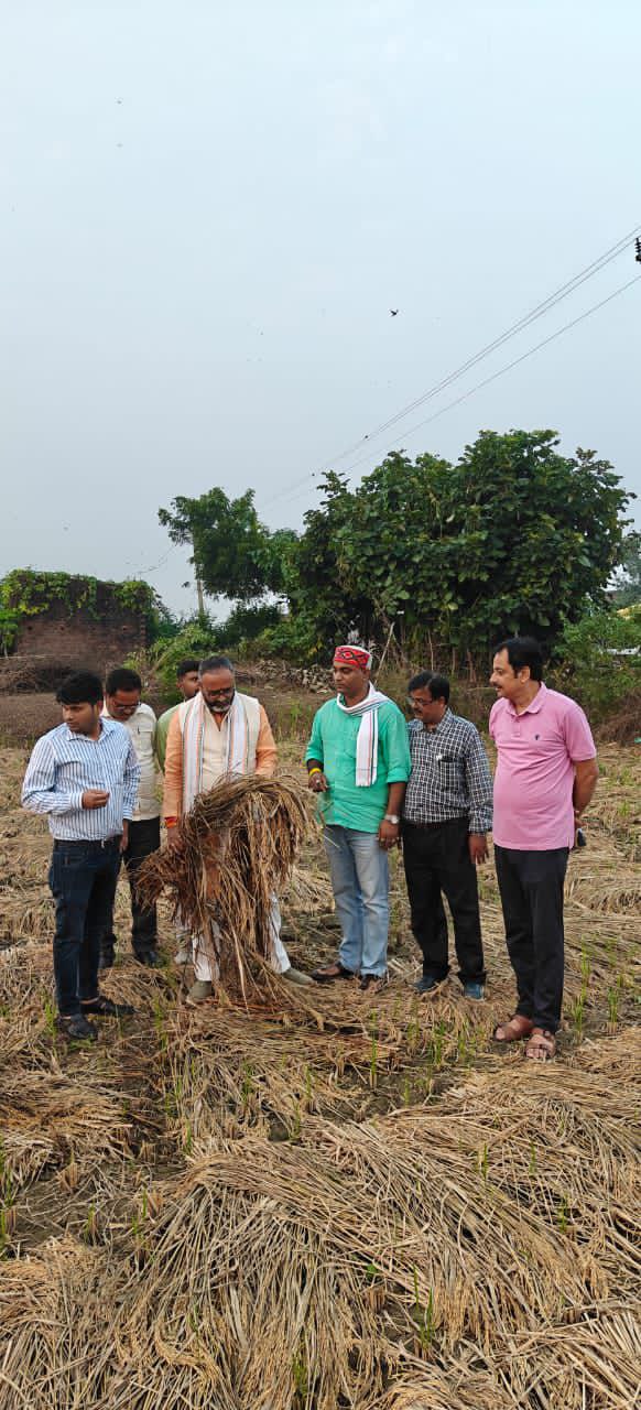 IMG_20251102_180116_306