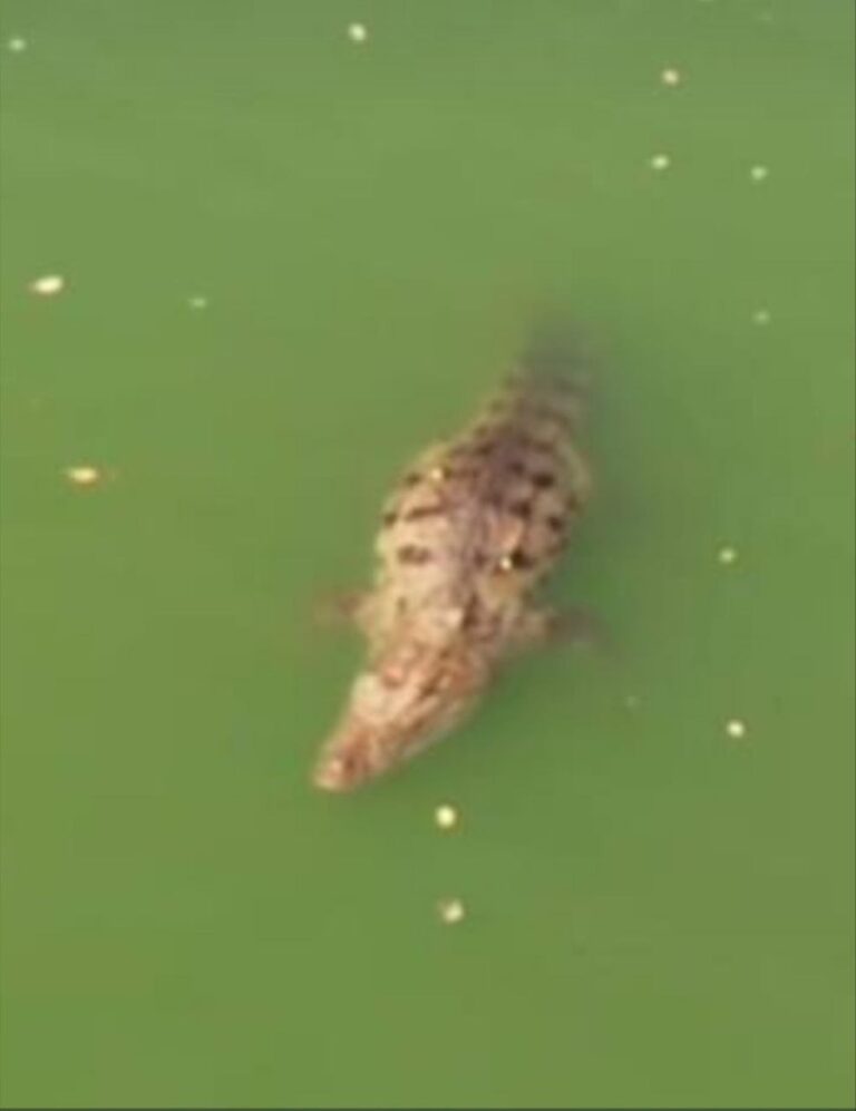 IMG_20251104_143156_809