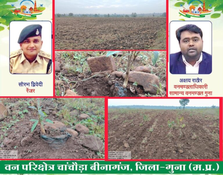 IMG_20251105_105815_295