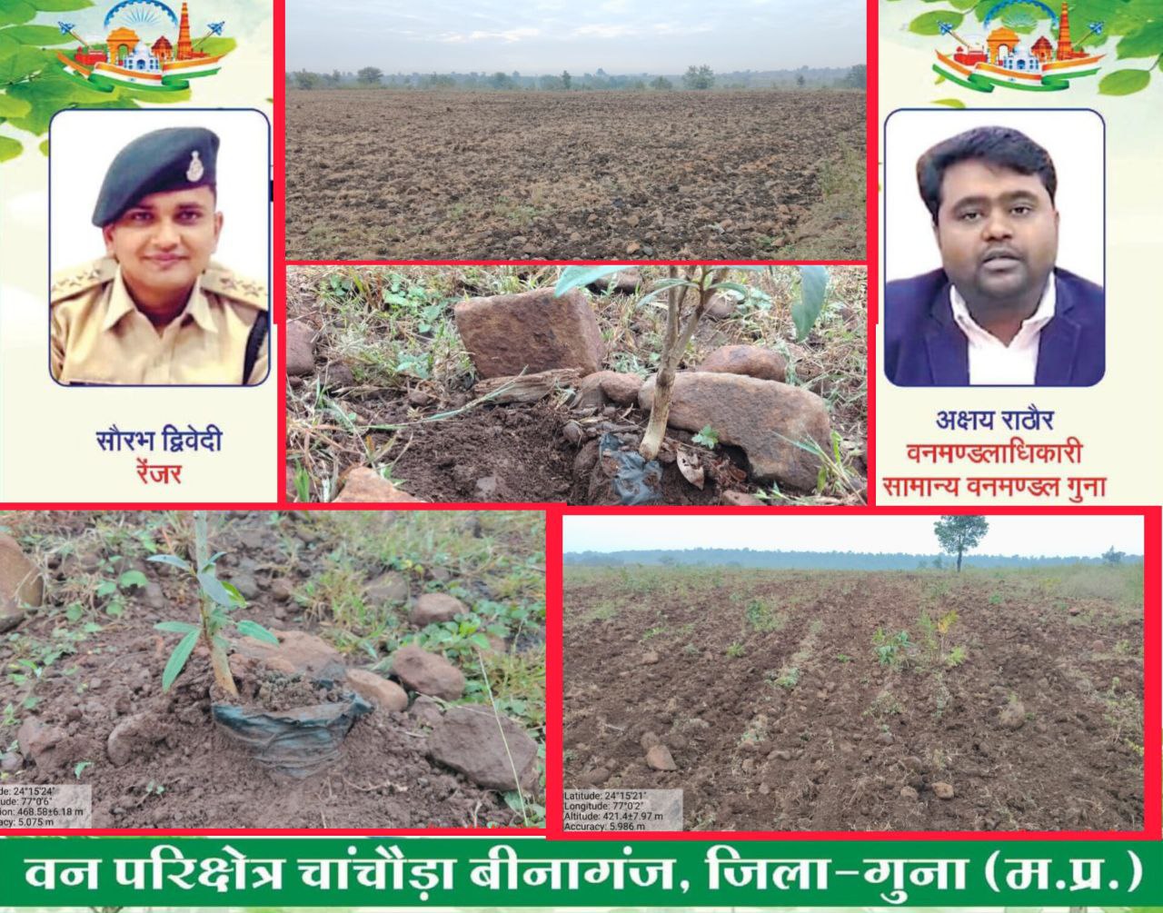 IMG_20251105_105815_295