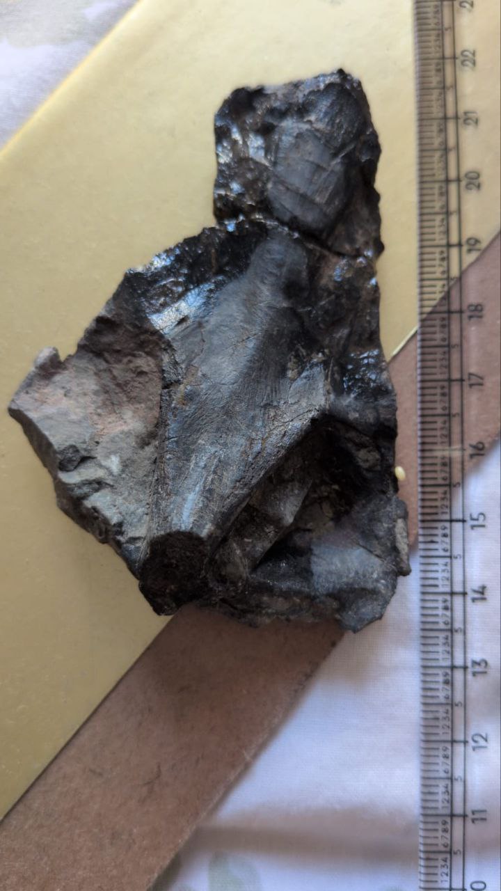 IMG_20251105_110444_335