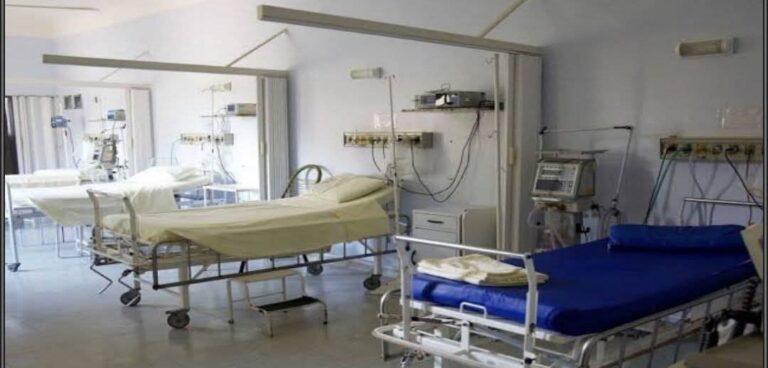 IMG_20251105_115437_857