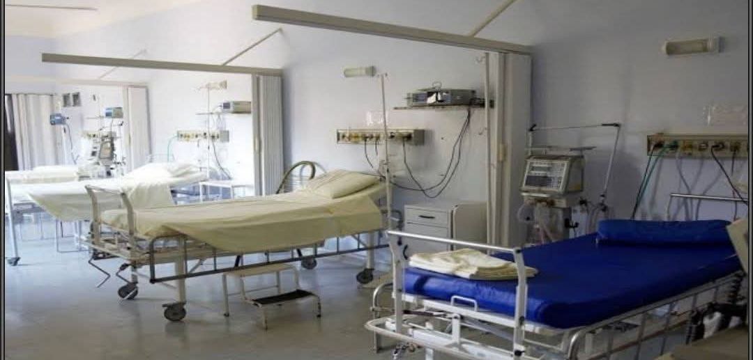 IMG_20251105_115437_857