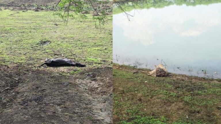 IMG_20251105_221212_551