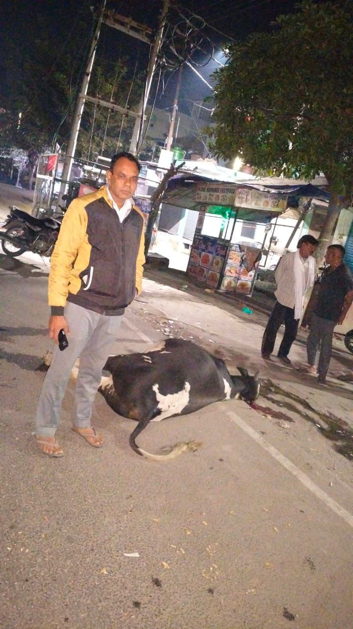 IMG_20251106_084154_499