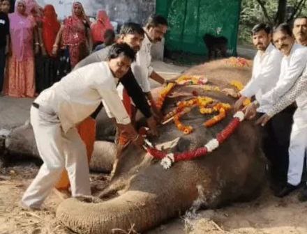 IMG_20251106_114642_117