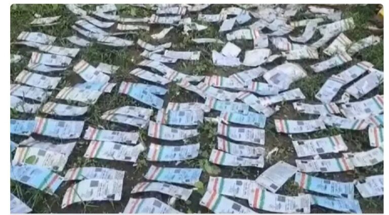 IMG_20251106_115934_099