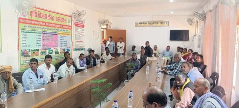 IMG_20251106_183554_072