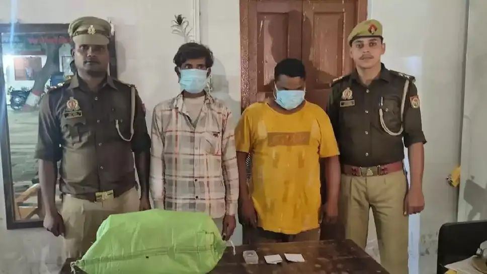 IMG_20251107_071337_475