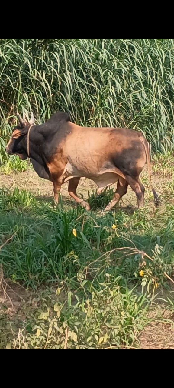 IMG_20251107_151835_208