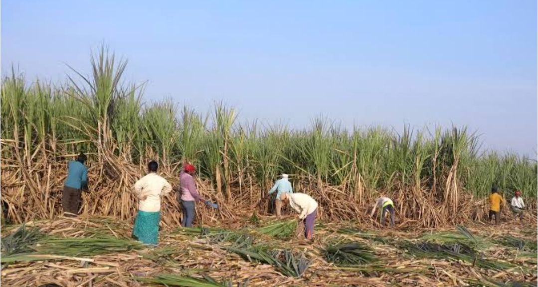 IMG_20251108_080121_653