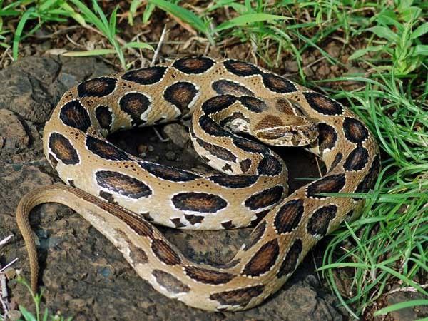 IMG_20251108_202723_113