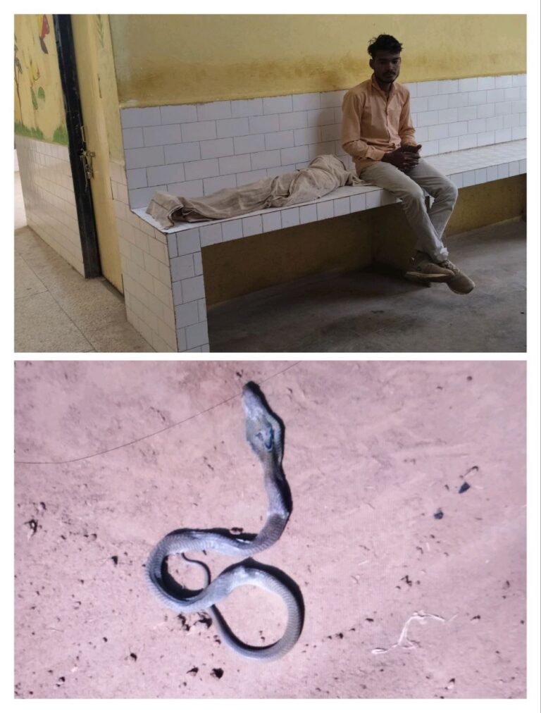 IMG_20251110_155216_933