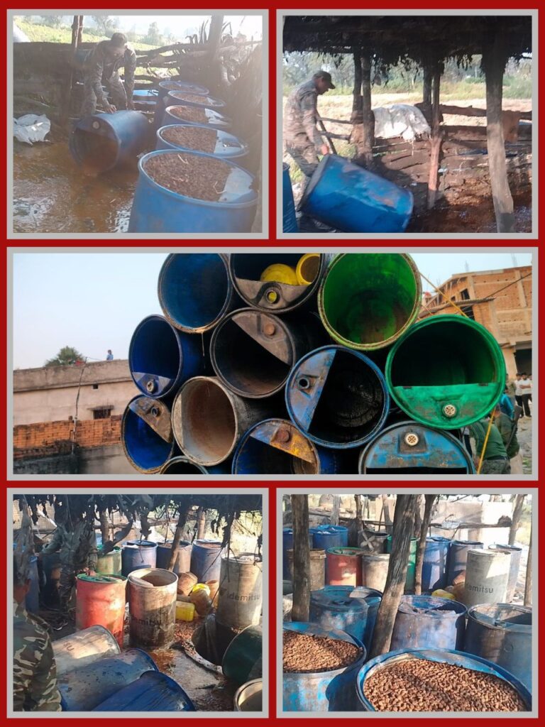 IMG_20251111_124230_241