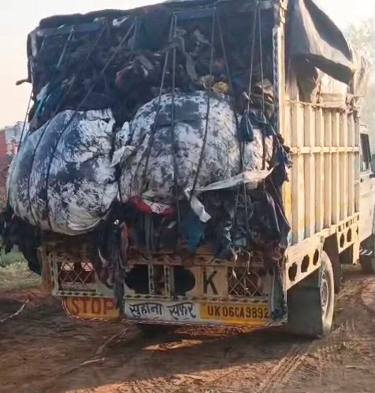 IMG_20251111_221303_940