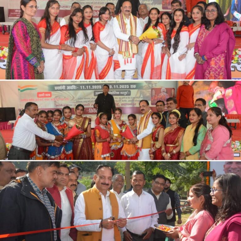 IMG_20251112_194735_290