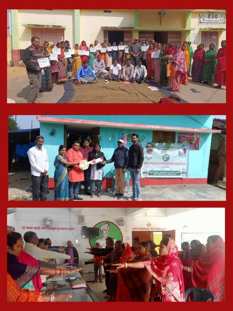 IMG_20251113_082421_537