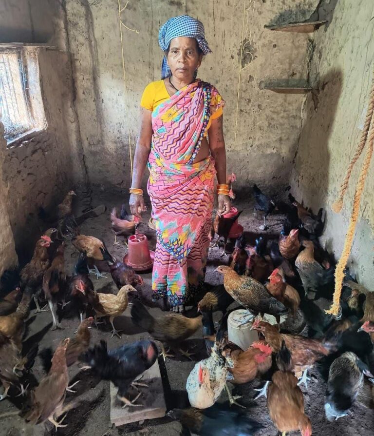 IMG_20251113_123702_859