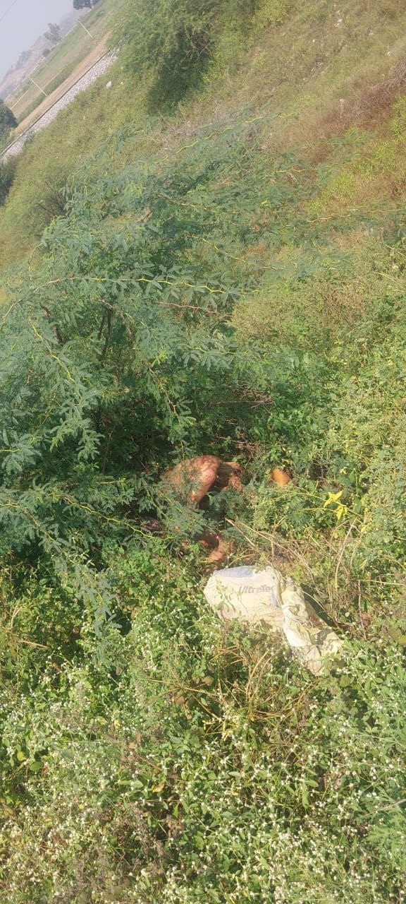 IMG_20251114_190425_726