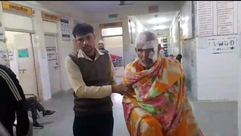 IMG_20251115_083215_972