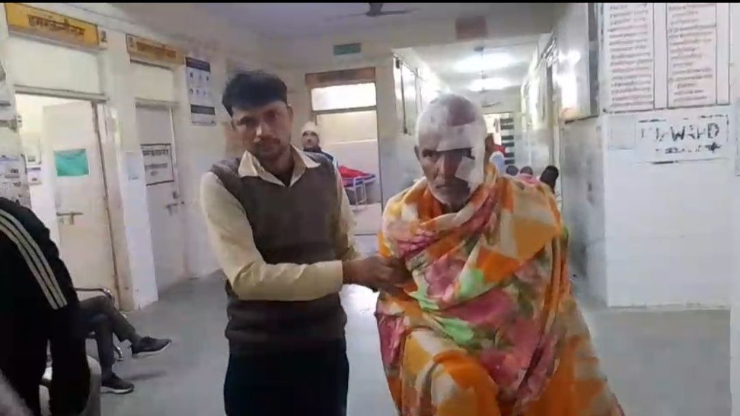 IMG_20251115_083215_972